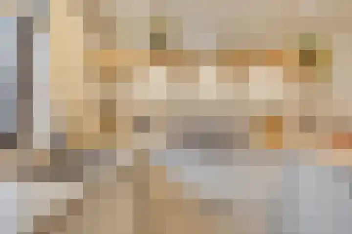 Vlasheuvel 18 Best thumbnail 20