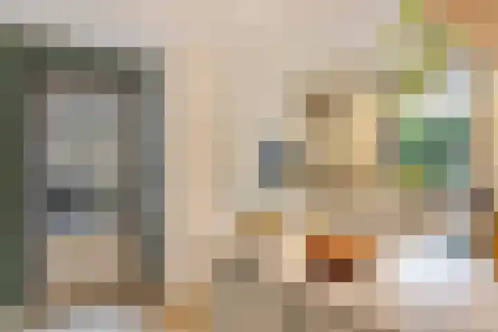 Vlasheuvel 18 Best thumbnail 21