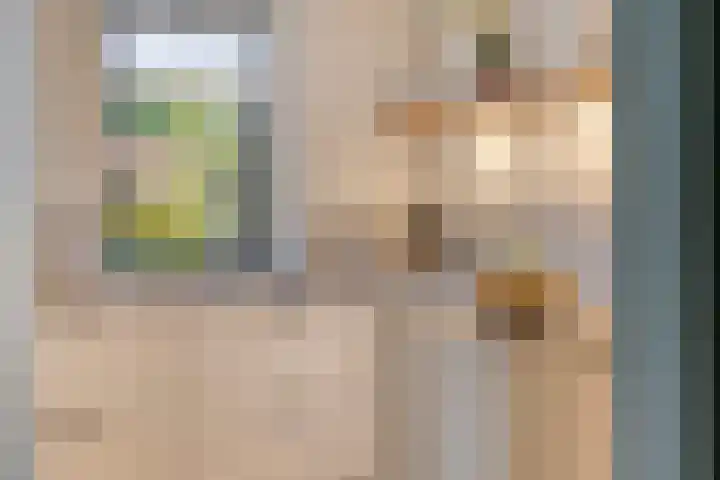 Vlasheuvel 18 Best thumbnail 22