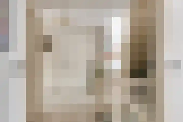 Vlasheuvel 18 Best thumbnail 32