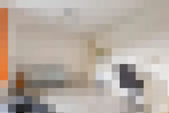 Vlasheuvel 18 Best thumbnail 40
