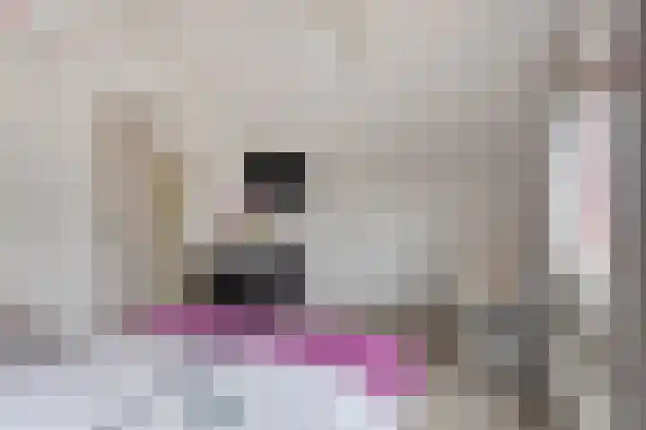 Vlasheuvel 18 Best thumbnail 42
