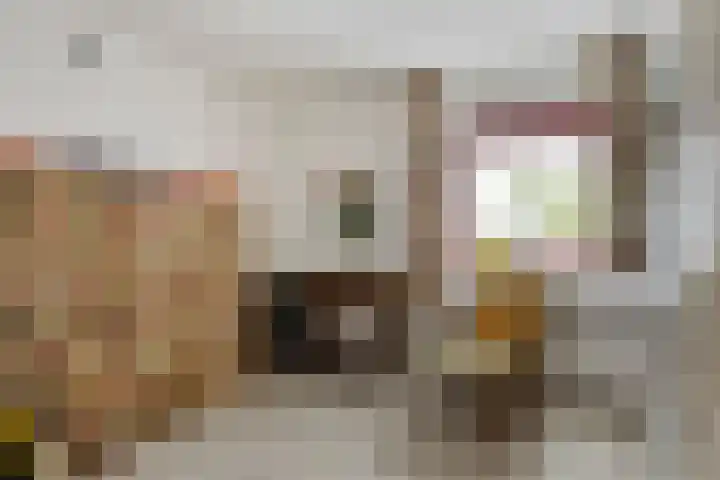 Vlasheuvel 18 Best thumbnail 43