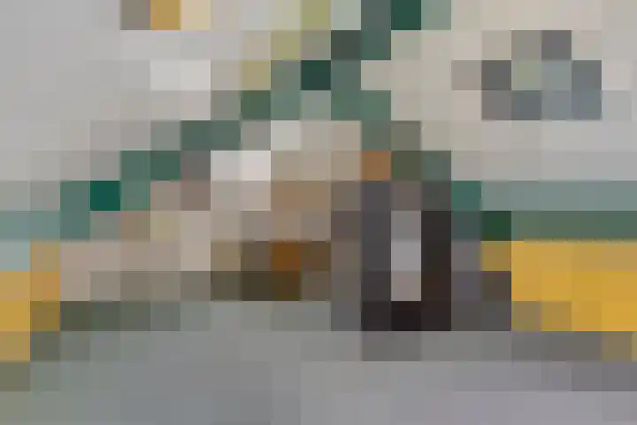 Vlasheuvel 18 Best thumbnail 46