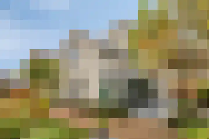 Vlasheuvel 18 Best thumbnail 50