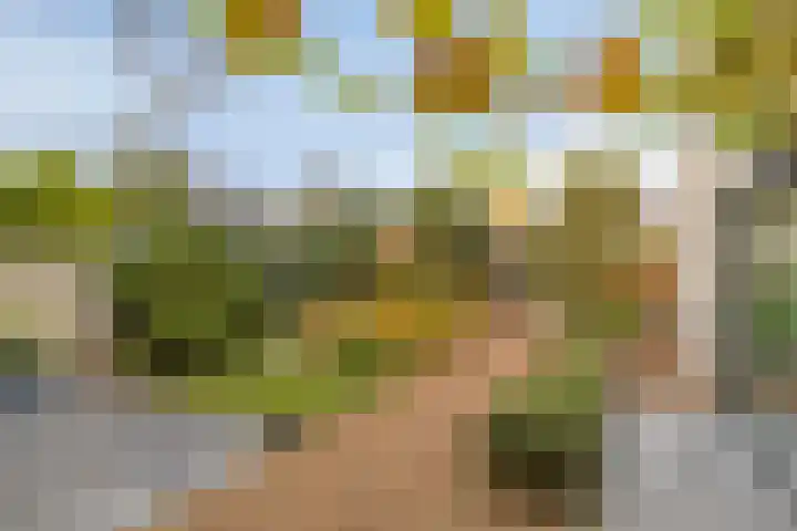 Vlasheuvel 18 Best thumbnail 51