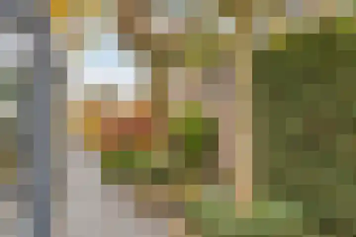 Vlasheuvel 18 Best thumbnail 52