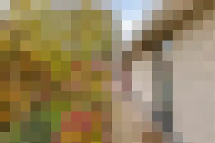 Vlasheuvel 18 Best thumbnail 54