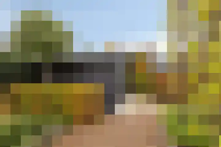 Vlasheuvel 18 Best thumbnail 55