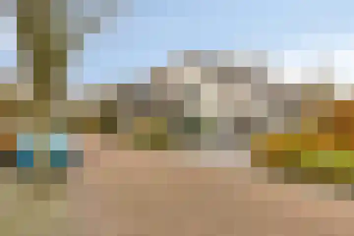 Vlasheuvel 18 Best thumbnail 58