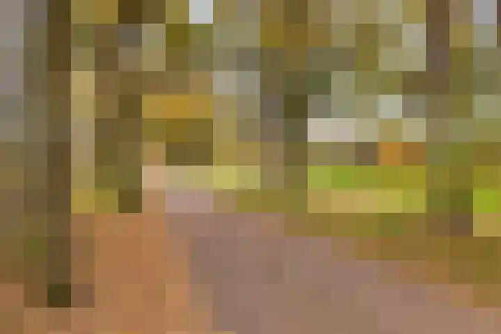 Vlasheuvel 18 Best thumbnail 59