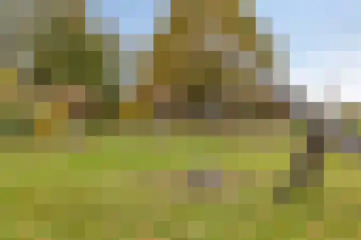 Vlasheuvel 18 Best thumbnail 60