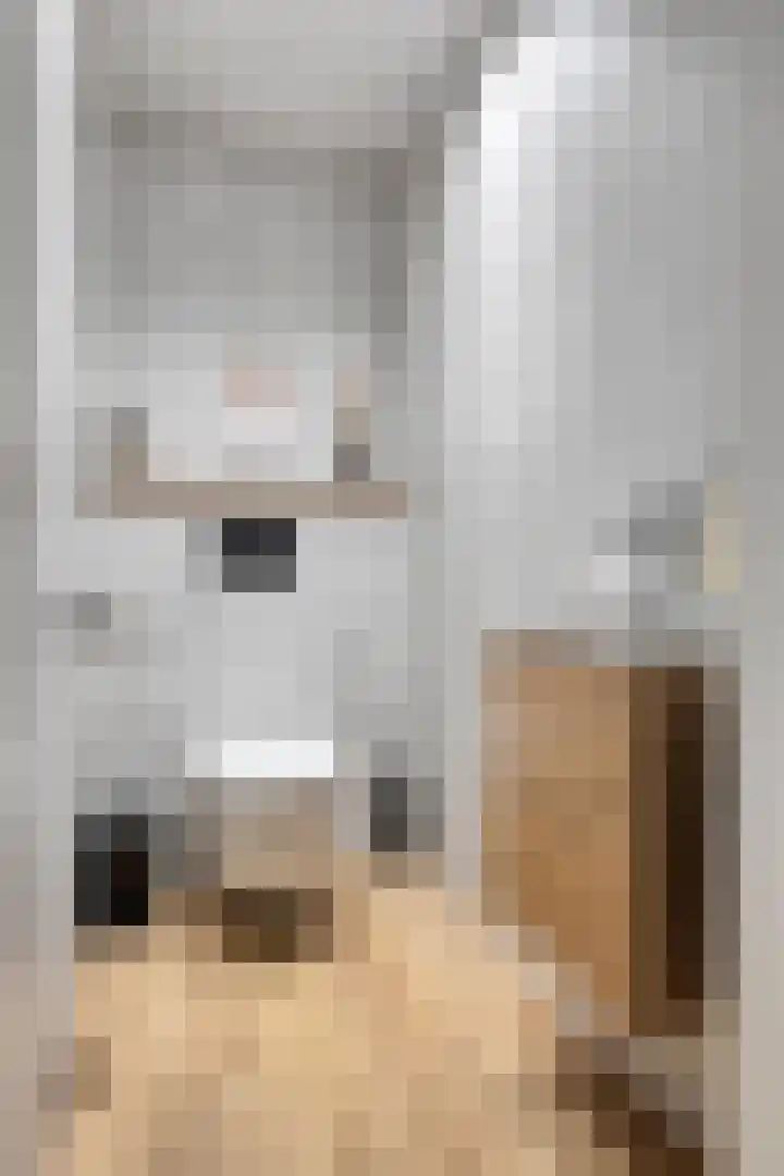 Vlasheuvel 18 Best thumbnail 8