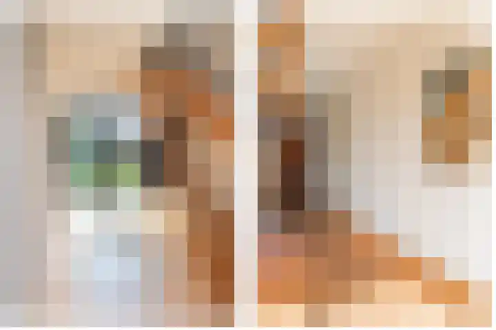 Vlasheuvel 3 Best thumbnail 10