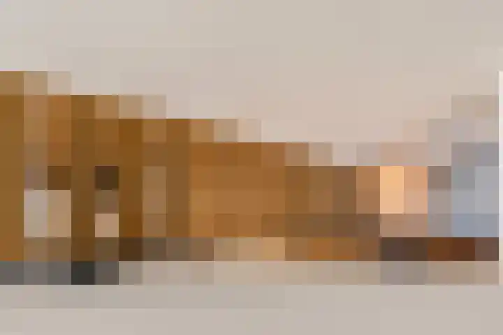 Vlasheuvel 3 Best thumbnail 22