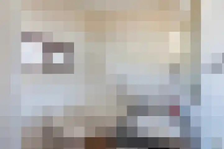 Vlasheuvel 3 Best thumbnail 28
