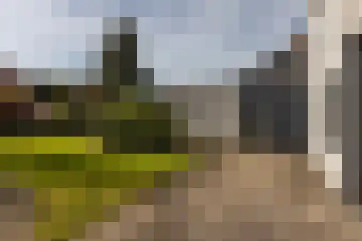 Vlasheuvel 3 Best thumbnail 31