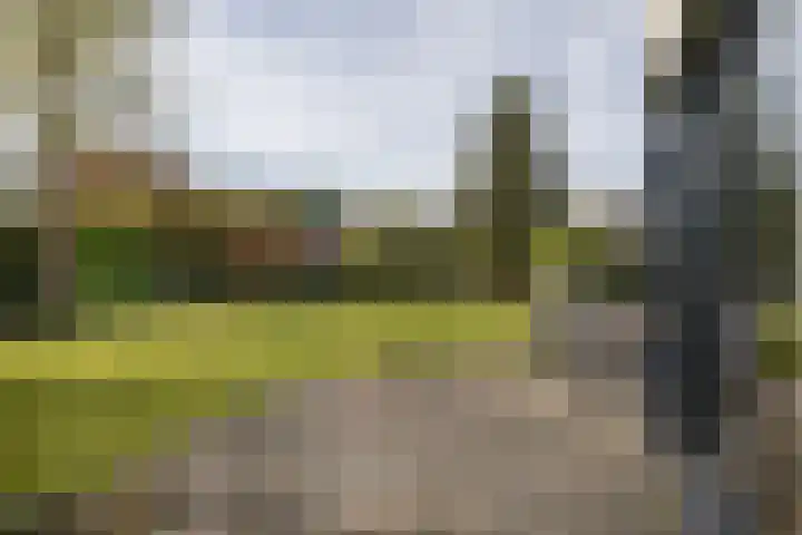 Vlasheuvel 3 Best thumbnail 33