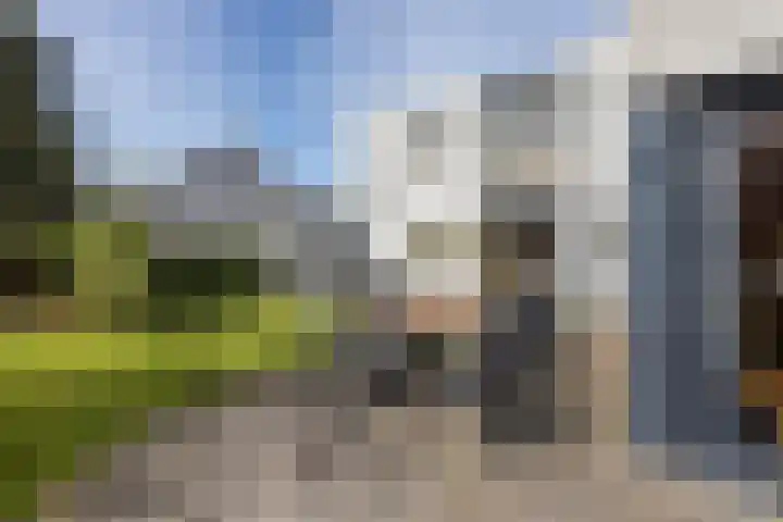 Vlasheuvel 3 Best thumbnail 34