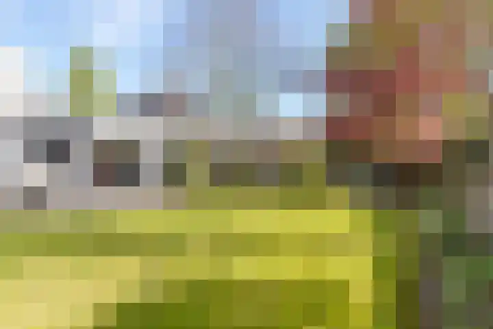 Vlasheuvel 3 Best thumbnail 35