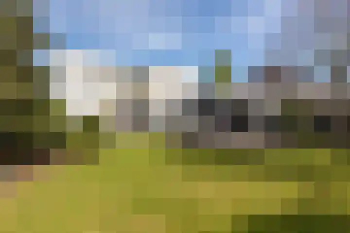 Vlasheuvel 3 Best thumbnail 36