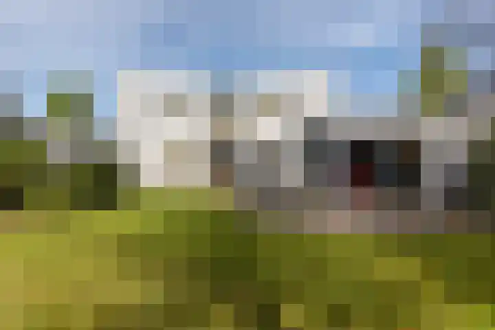 Vlasheuvel 3 Best thumbnail 37
