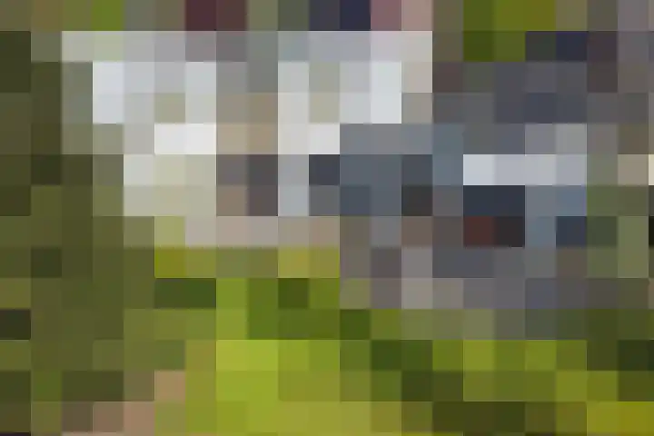 Vlasheuvel 3 Best thumbnail 38