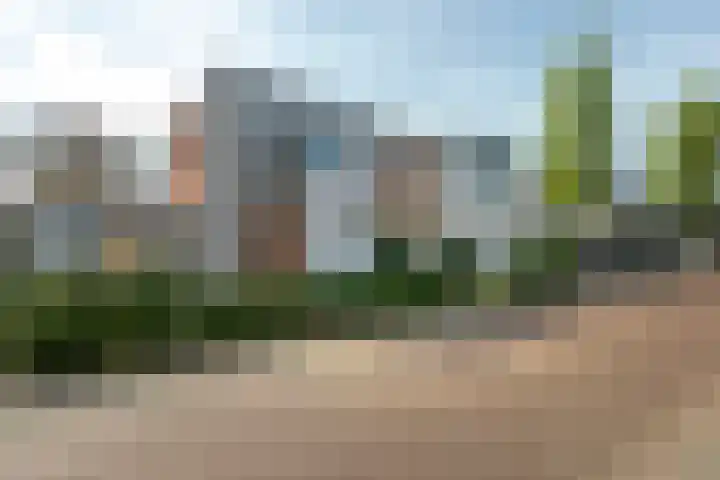 Vlasheuvel 3 Best thumbnail 41