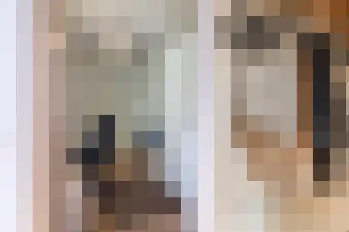 Vlasheuvel 3 Best thumbnail 6