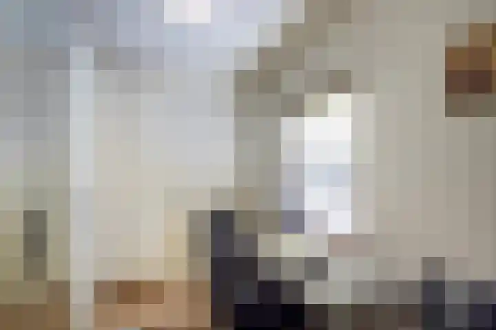 Vlasheuvel 3 Best thumbnail 8