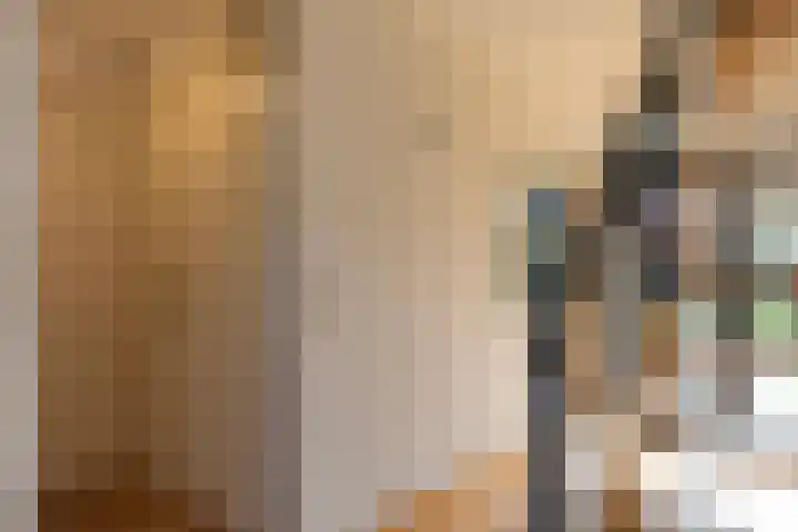 Vlasheuvel 3 Best thumbnail 9