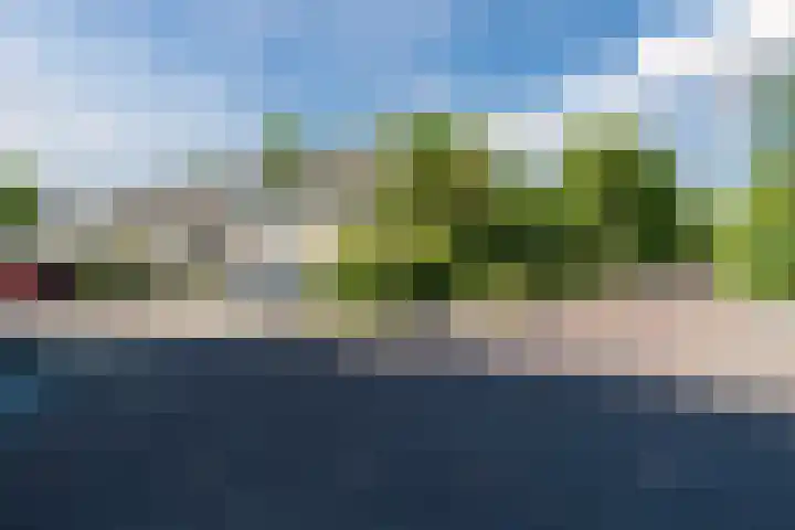 Vlasland 50 Leusden thumbnail 25