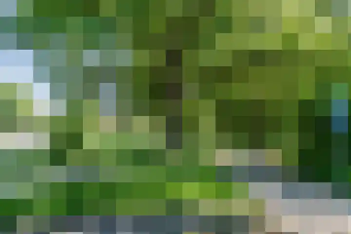 Vlasland 50 Leusden thumbnail 27