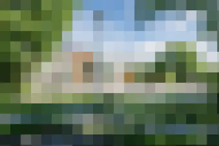 Vlasland 50 Leusden thumbnail 28
