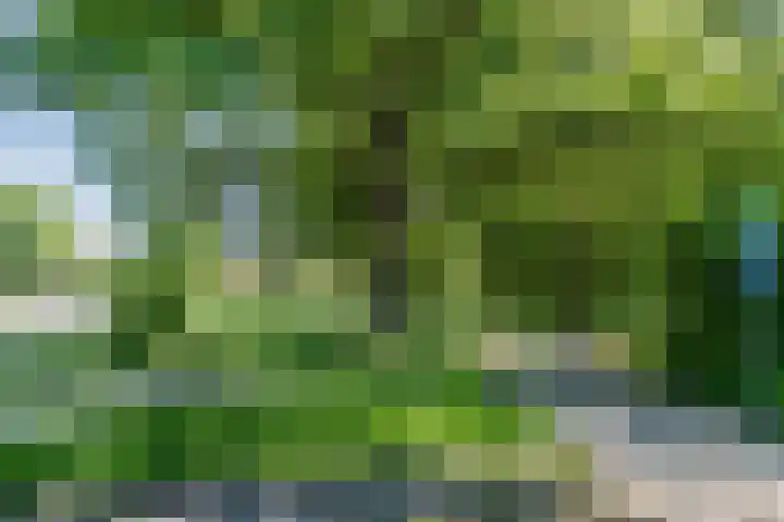 Vlasland 50 Leusden thumbnail 4