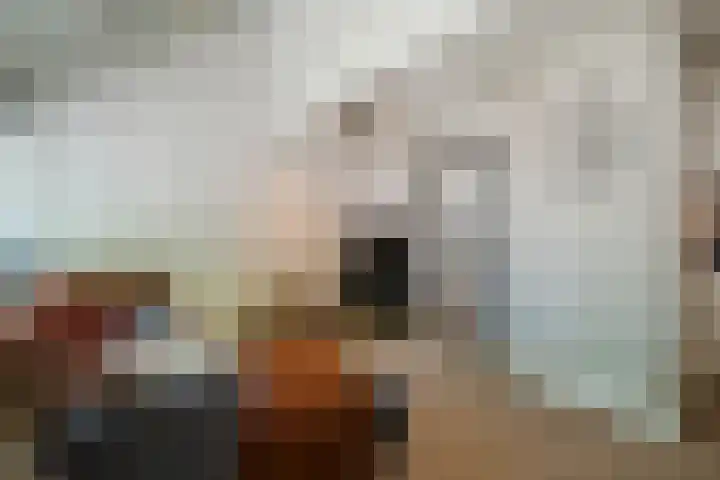Vlasland 50 Leusden thumbnail 8