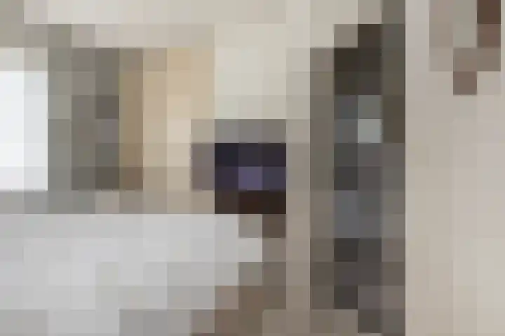 Vlaspad 1 A Stedum thumbnail 12