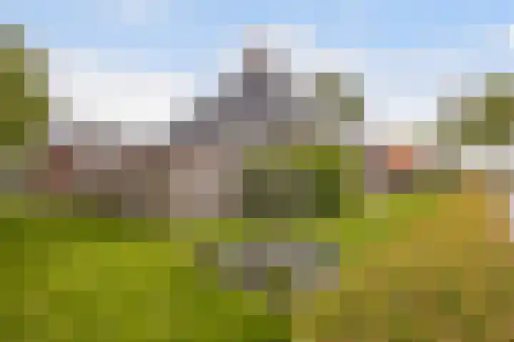 Vlaspad 1 A Stedum foto 2
