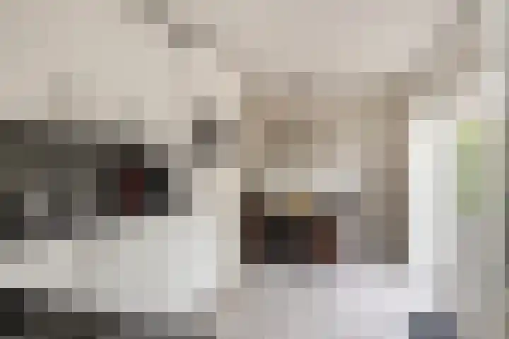 Vlaspad 1 A Stedum thumbnail 22
