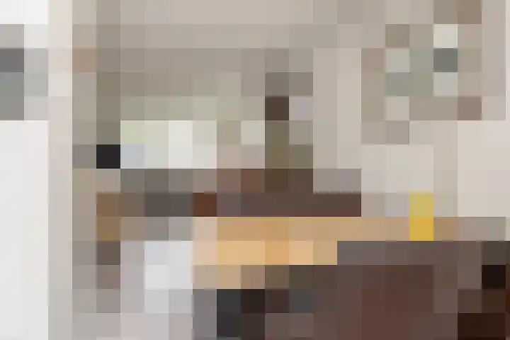 Vlaspad 1 A Stedum thumbnail 23