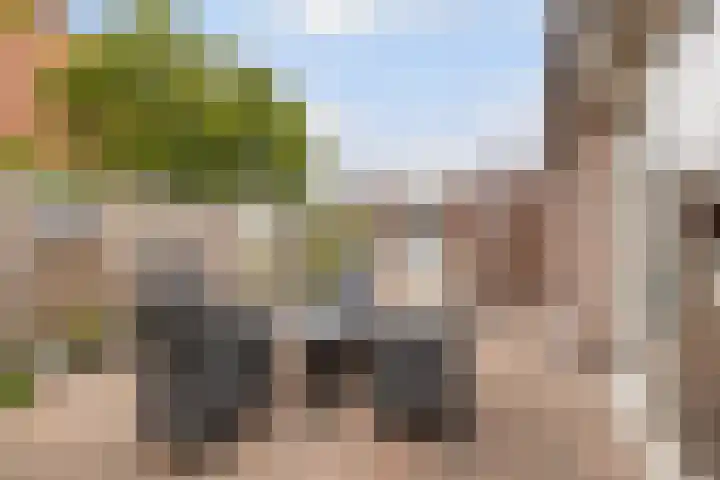 Vlaspad 1 A Stedum foto 3