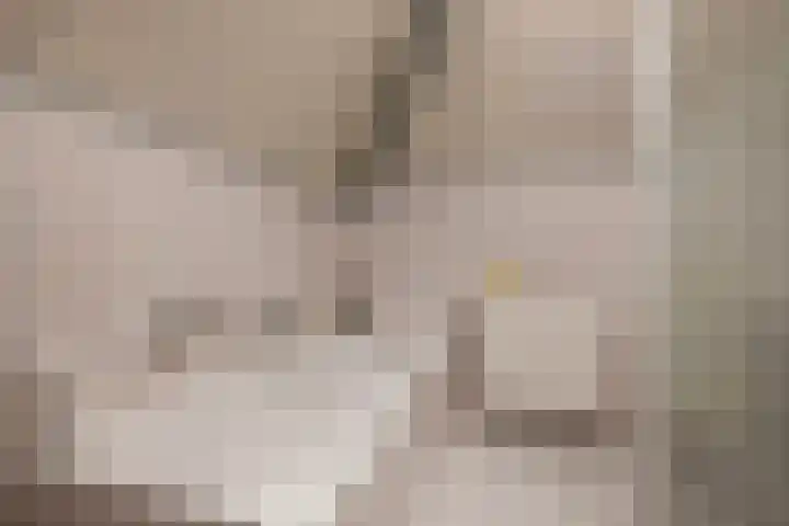 Vlaspad 1 A Stedum thumbnail 30