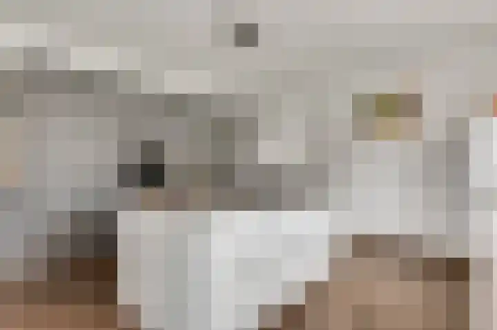 Vlasrootsingel 32 Heythuysen thumbnail 10