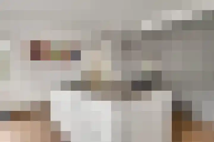 Vlasrootsingel 32 Heythuysen thumbnail 11