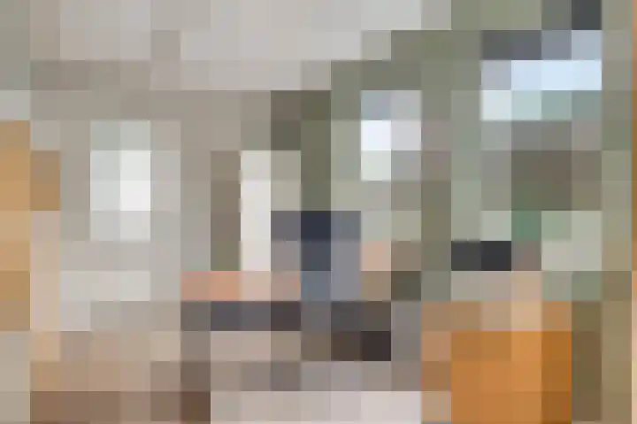 Vlasrootsingel 32 Heythuysen thumbnail 14