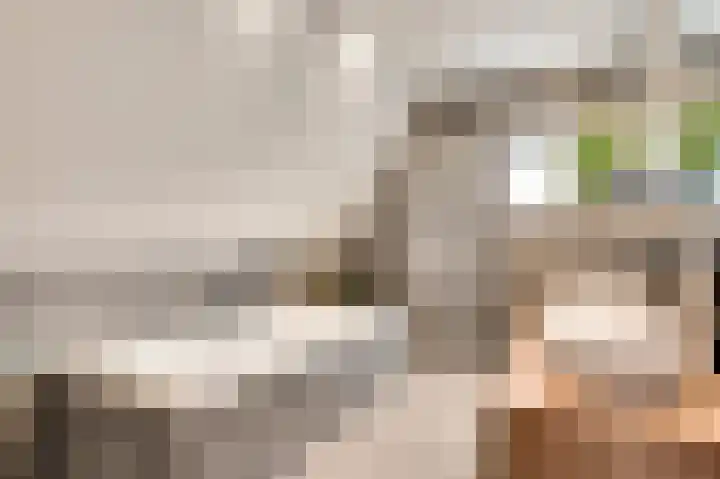 Vlasrootsingel 32 Heythuysen thumbnail 20