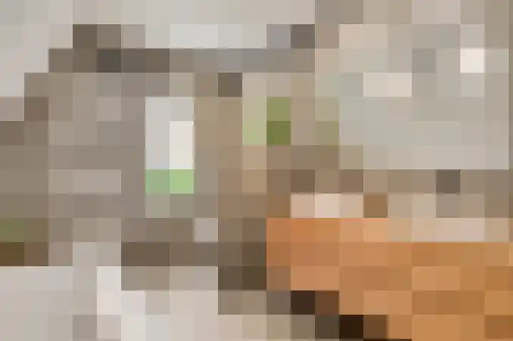 Vlasrootsingel 32 Heythuysen thumbnail 21