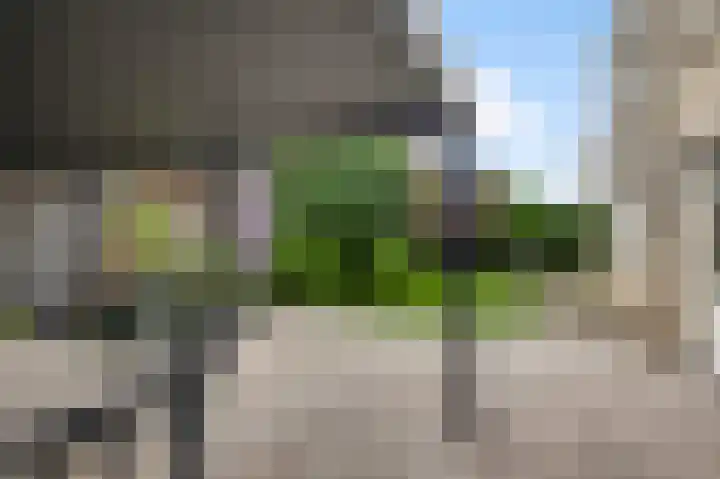 Vlasrootsingel 32 Heythuysen thumbnail 24
