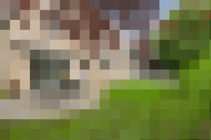 Vlasrootsingel 32 Heythuysen thumbnail 27