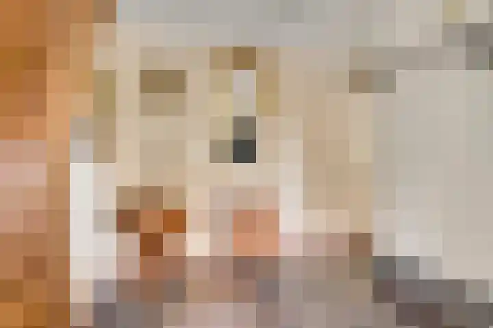Vlasrootsingel 32 Heythuysen thumbnail 4